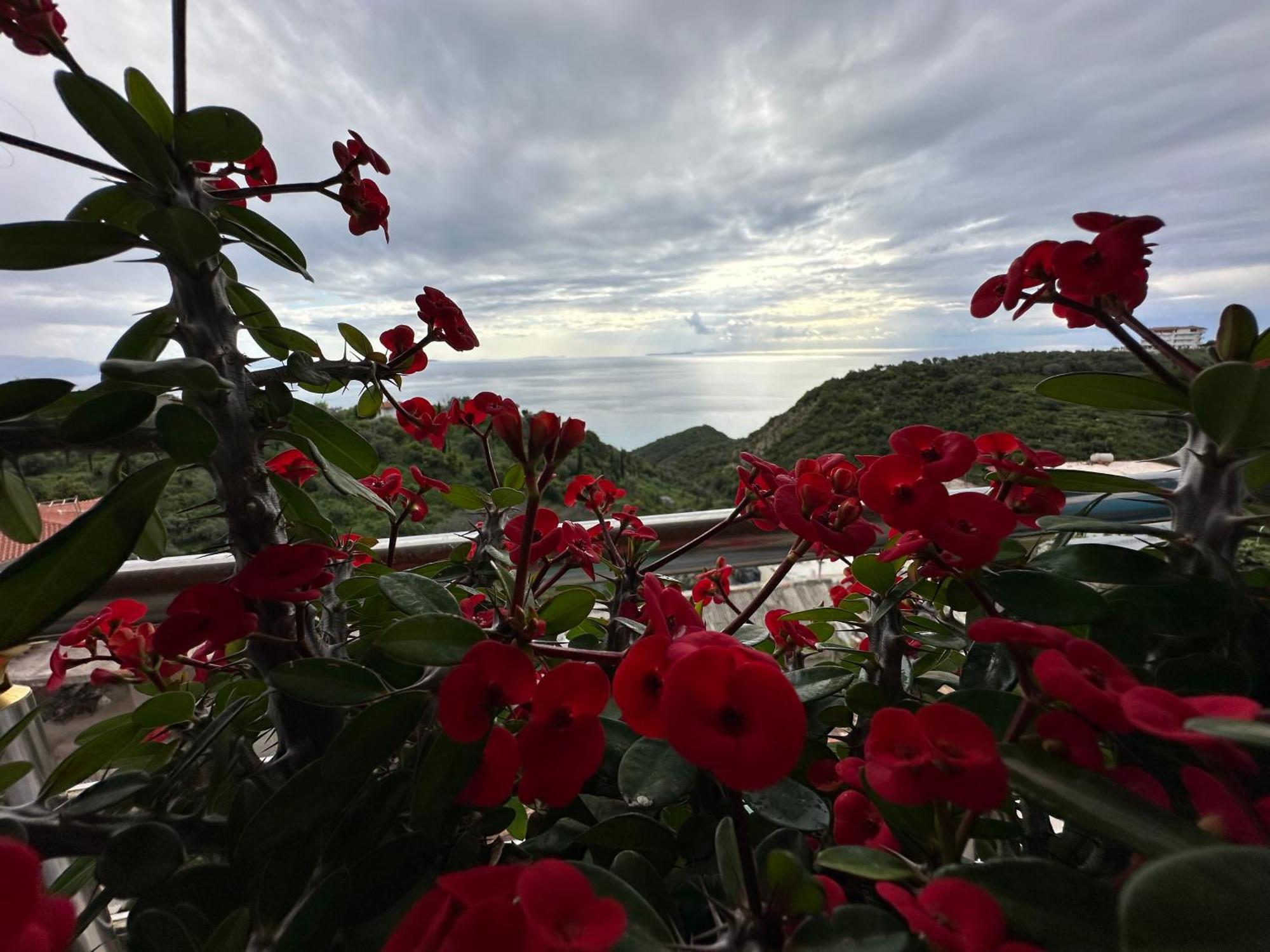 Selami Sea View Apartments Люкове Екстер'єр фото