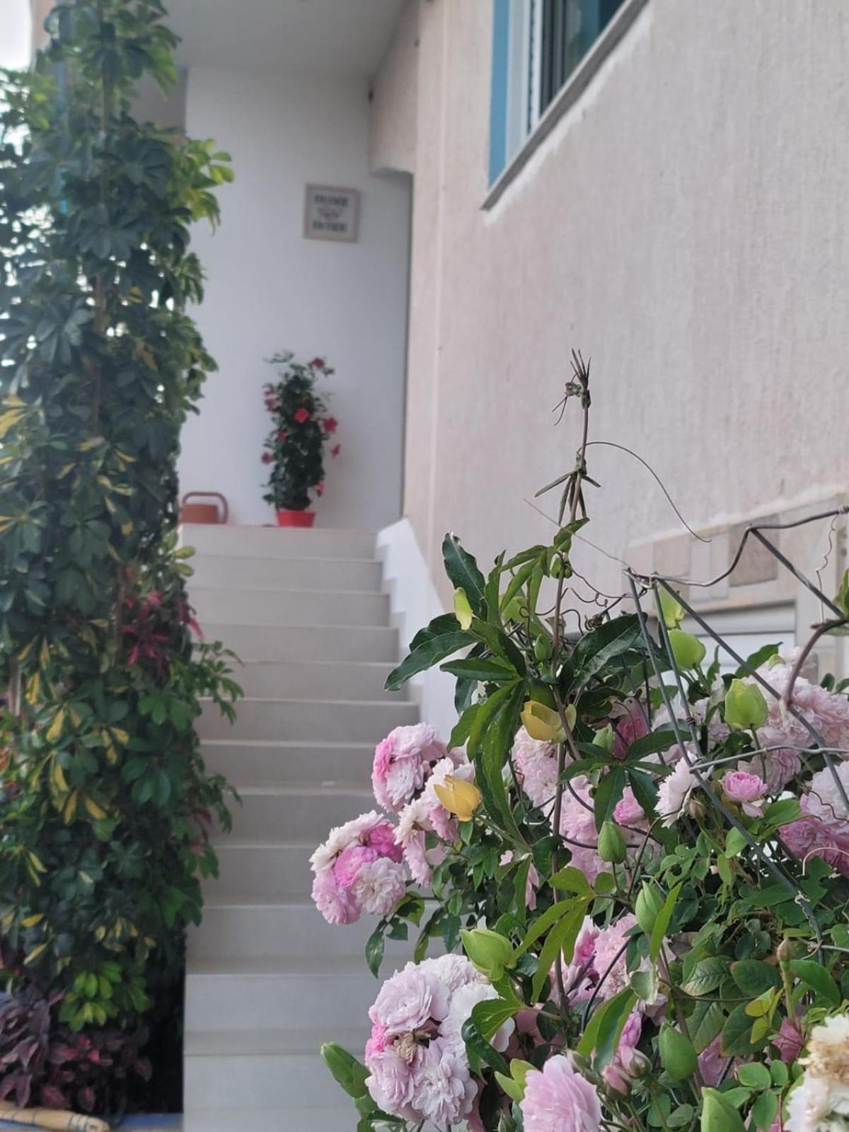 Selami Sea View Apartments Люкове Екстер'єр фото